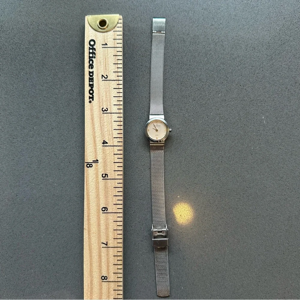 Skagen Silver Mesh Strap Watch